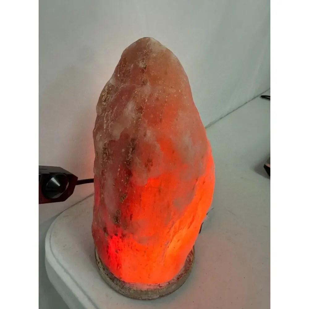 Himalayan Salt Lamp 10 in. Tall with Dimmer Switch Night Light Table Lamp